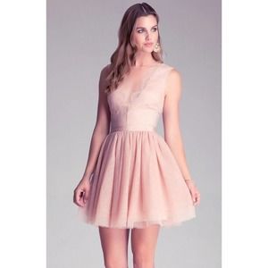 NWT bebe blush pink mesh lace fit flare sheer deep v top dress S Small 6 sexy